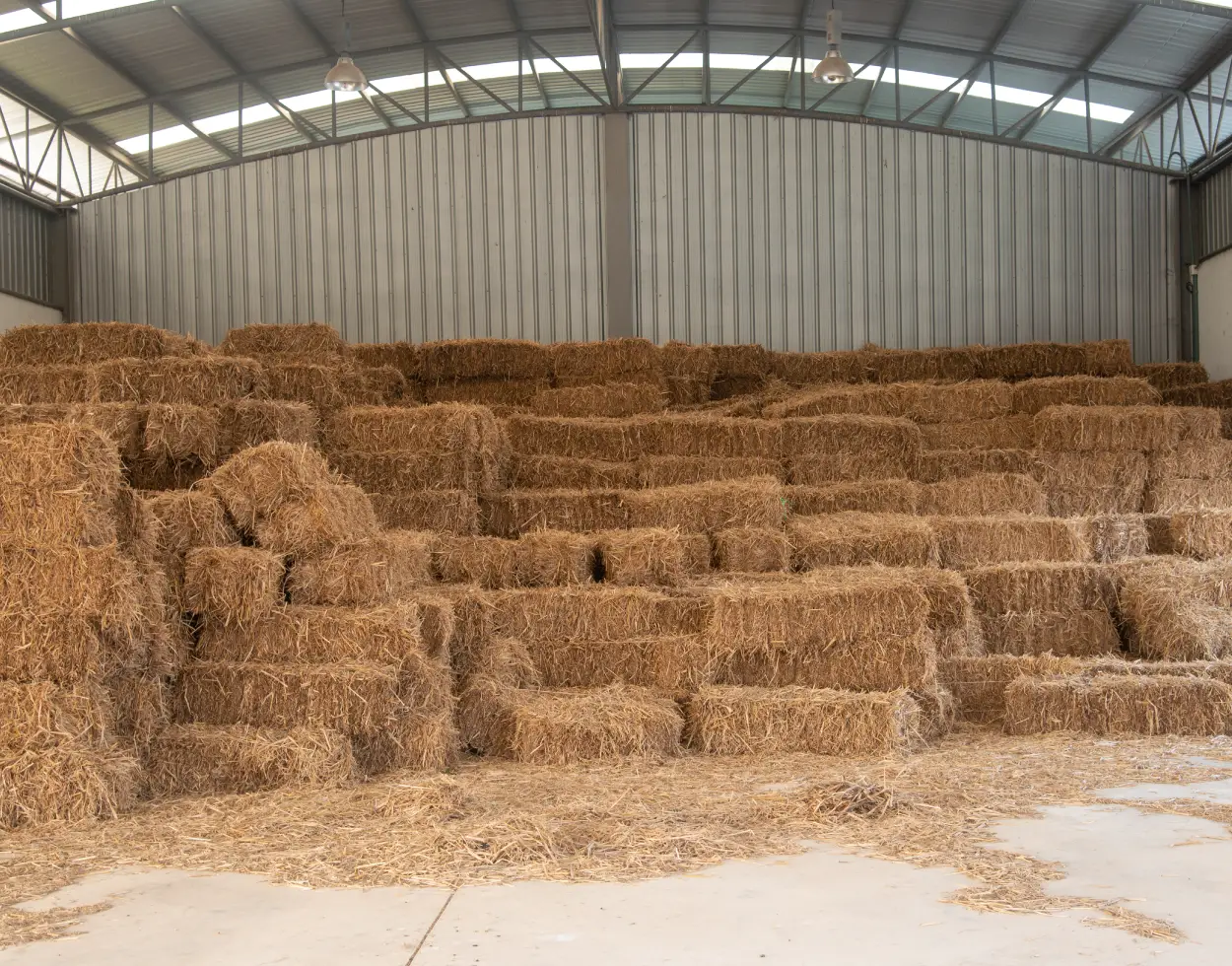 Cómo evitar que el heno de buena calidad se eche a perder: Consejos para el almacenamiento en graneros que protegen su calidad y valor