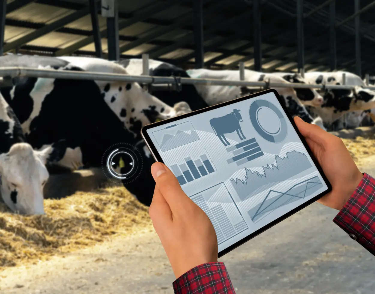 Indicadores del Período Seco para un Mejor Rendimiento de la Lactancia