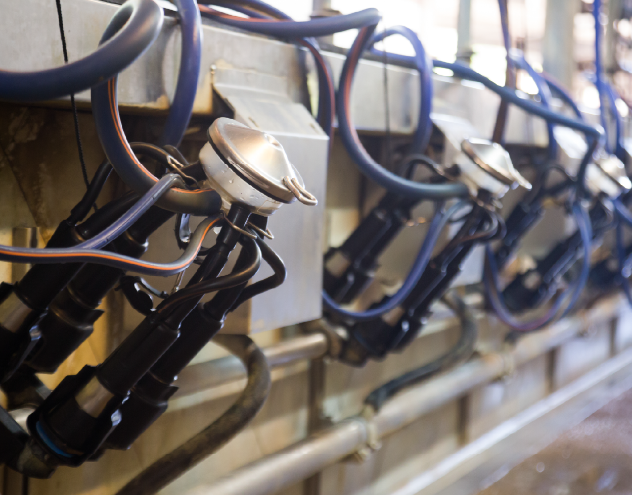 ¿Qué tan rápido se puede ordeñar?