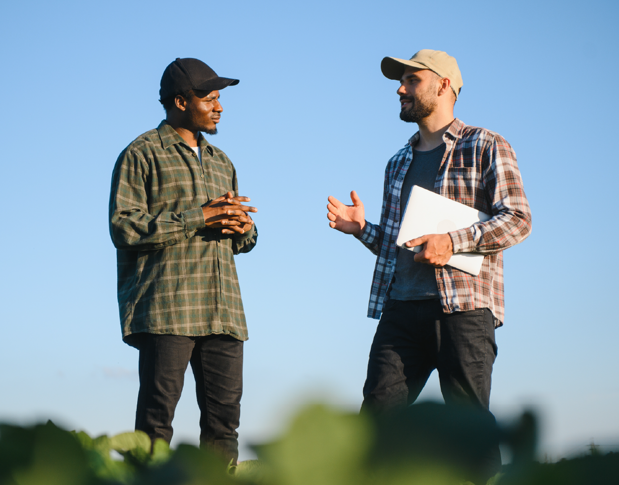 Una cultura ganadera sólida impulsa el rendimiento y el bienestar de los empleados