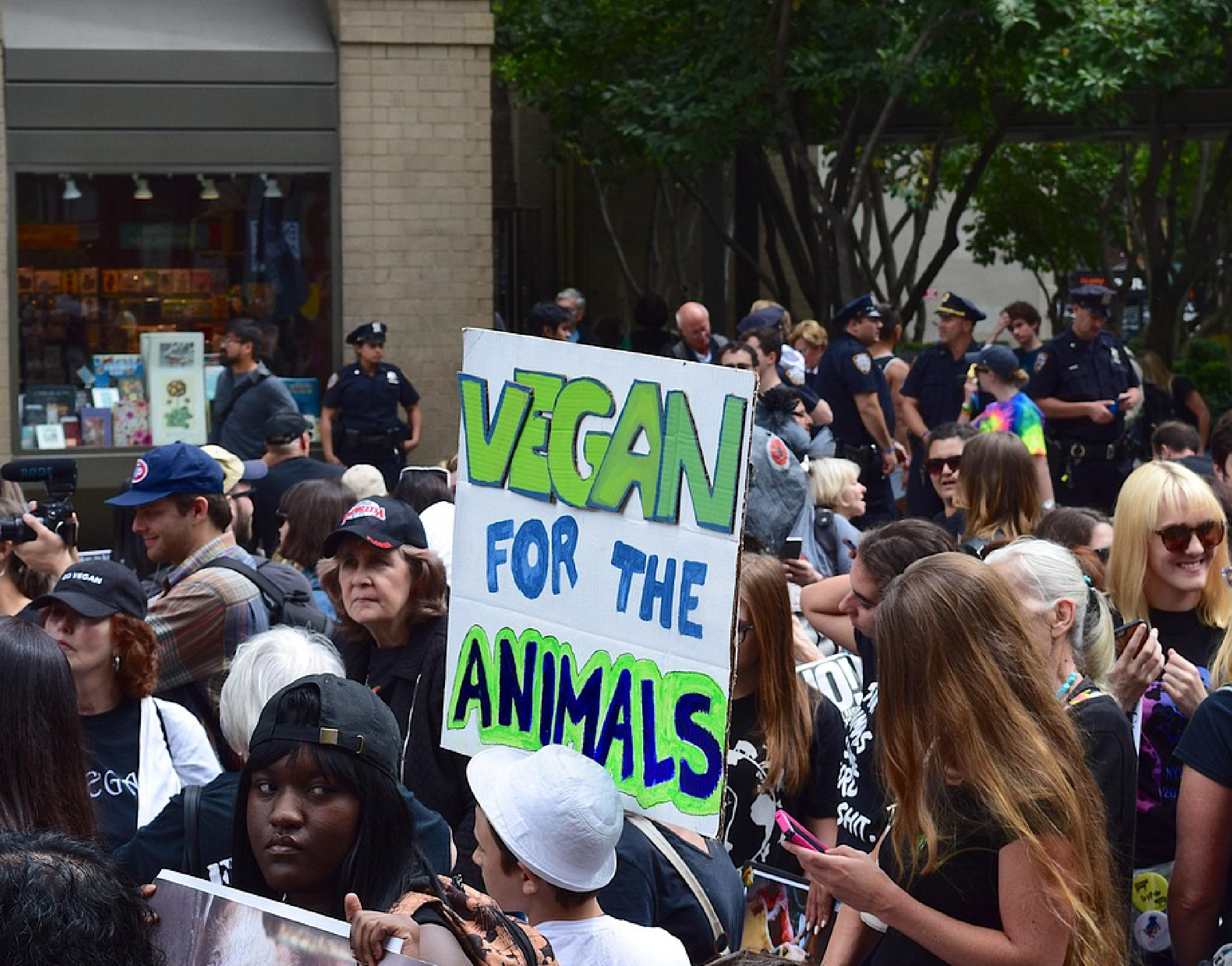 Nuevos informes sobre activismo animal: Activistas se unen en los tribunales